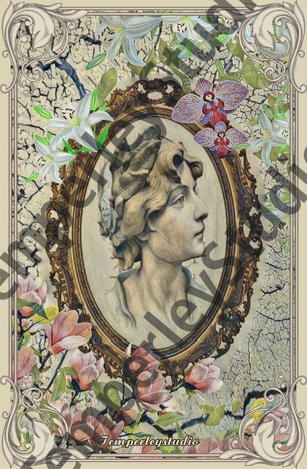 Shabby chic cameo in flowers and decorative frame